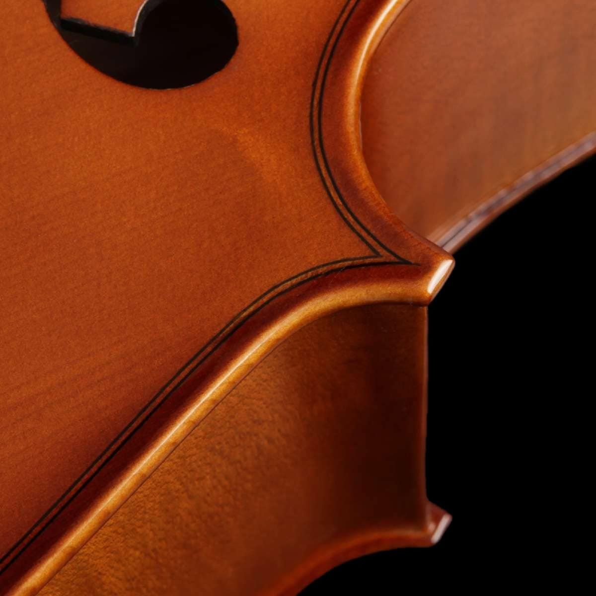 Violoncelo 4-4 CE200 - Eagle-2